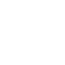 Faridy Flores